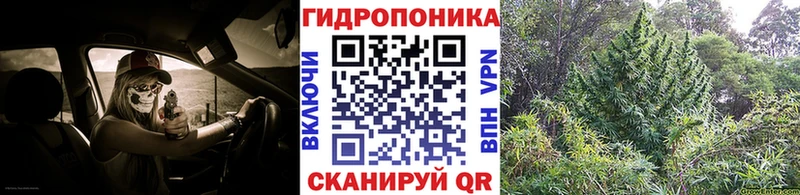 Где купить Иннополис Alpha-PVP  Меф мяу мяу  Конопля  Кокаин 