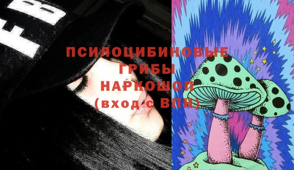 ПСИЛОЦИБИНОВЫЕ ГРИБЫ Навашино